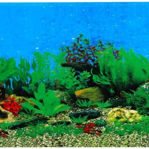 Ebi Mer/Rocher Poster Fond de Aquarium pour Aquariophilie 80 x 40 cm