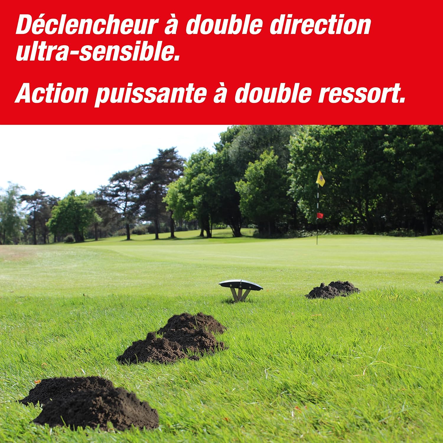SWISSINNO SuperCat — Piège à Taupes Réutilisable – Image 2