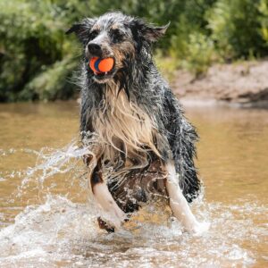 Alternative view of CHUCKIT — Balle pour Chien Taille L