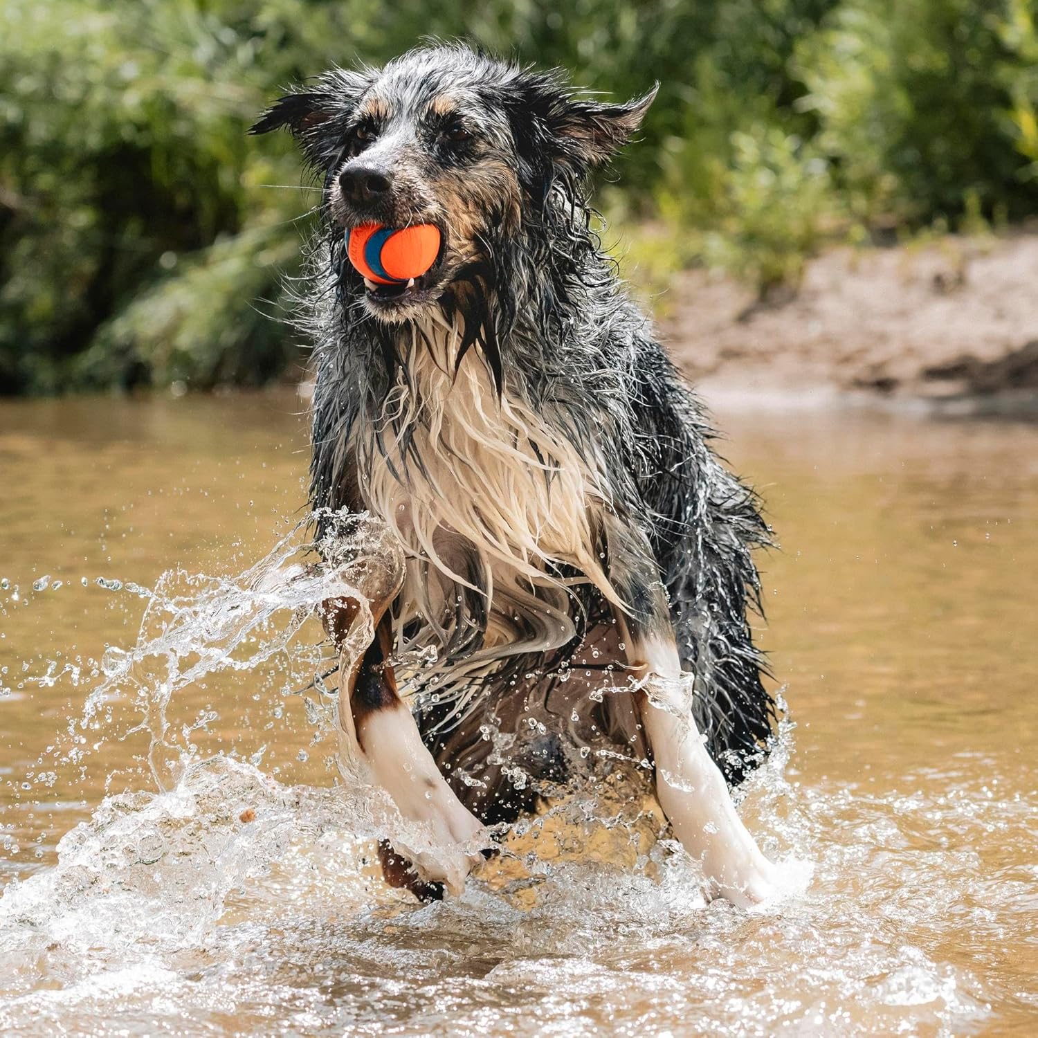 CHUCKIT — Balle pour Chien Taille L – Image 2