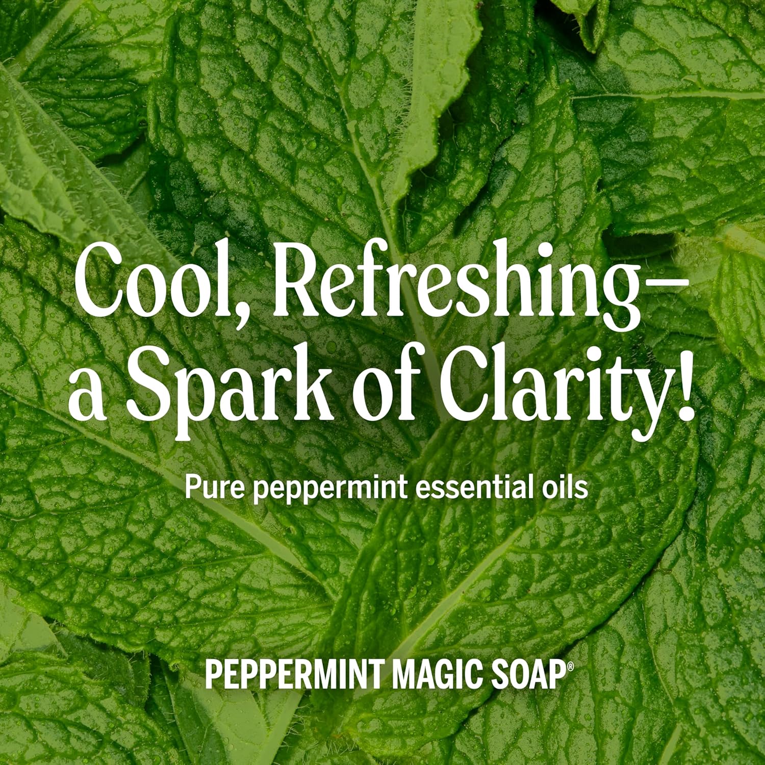 Dr. Bronners Savon de Castille parfumé à la menthe poivrée 237 ml – Image 3