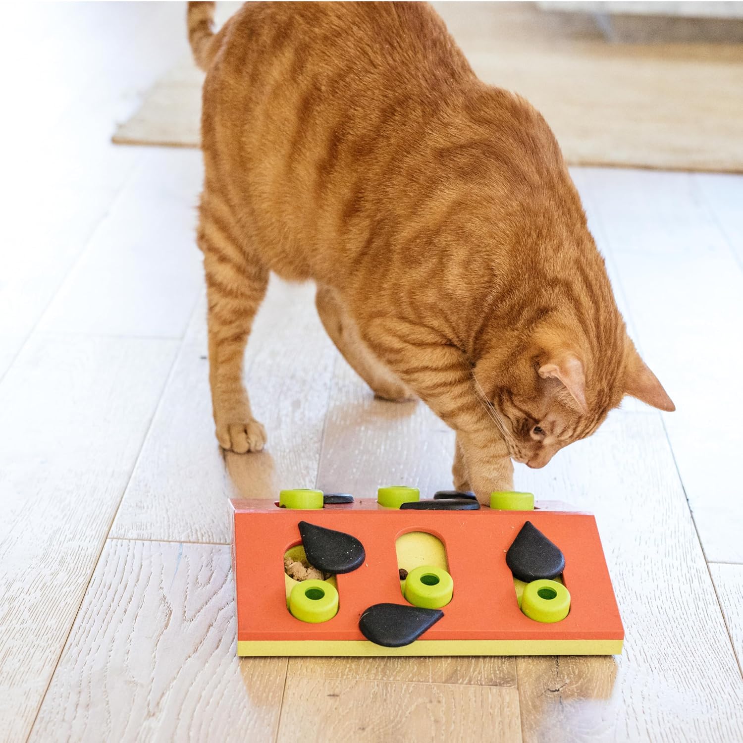 NINA OTTOSSON — Jeu d’intelligence interactif pour chat – Image 7