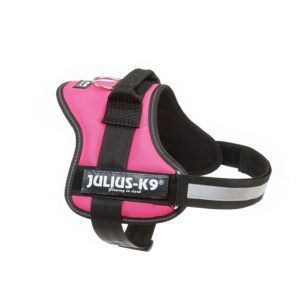 Alternative view of JULIUS K-9 Power — Harnais Chien M/0 Rose Fuchsia