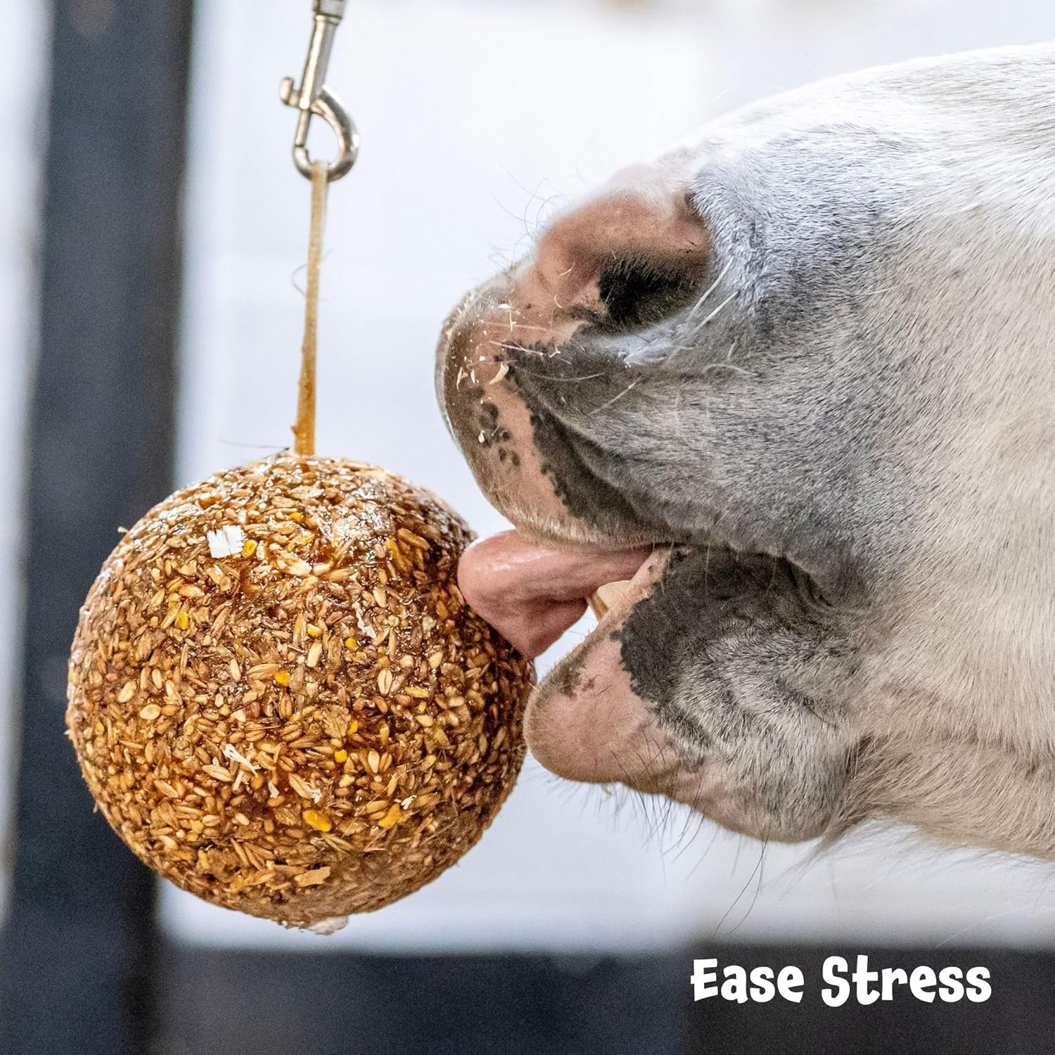 LIKIT Granola Stall-Ball — Friandise pour cheval 1,6 kg – Image 3