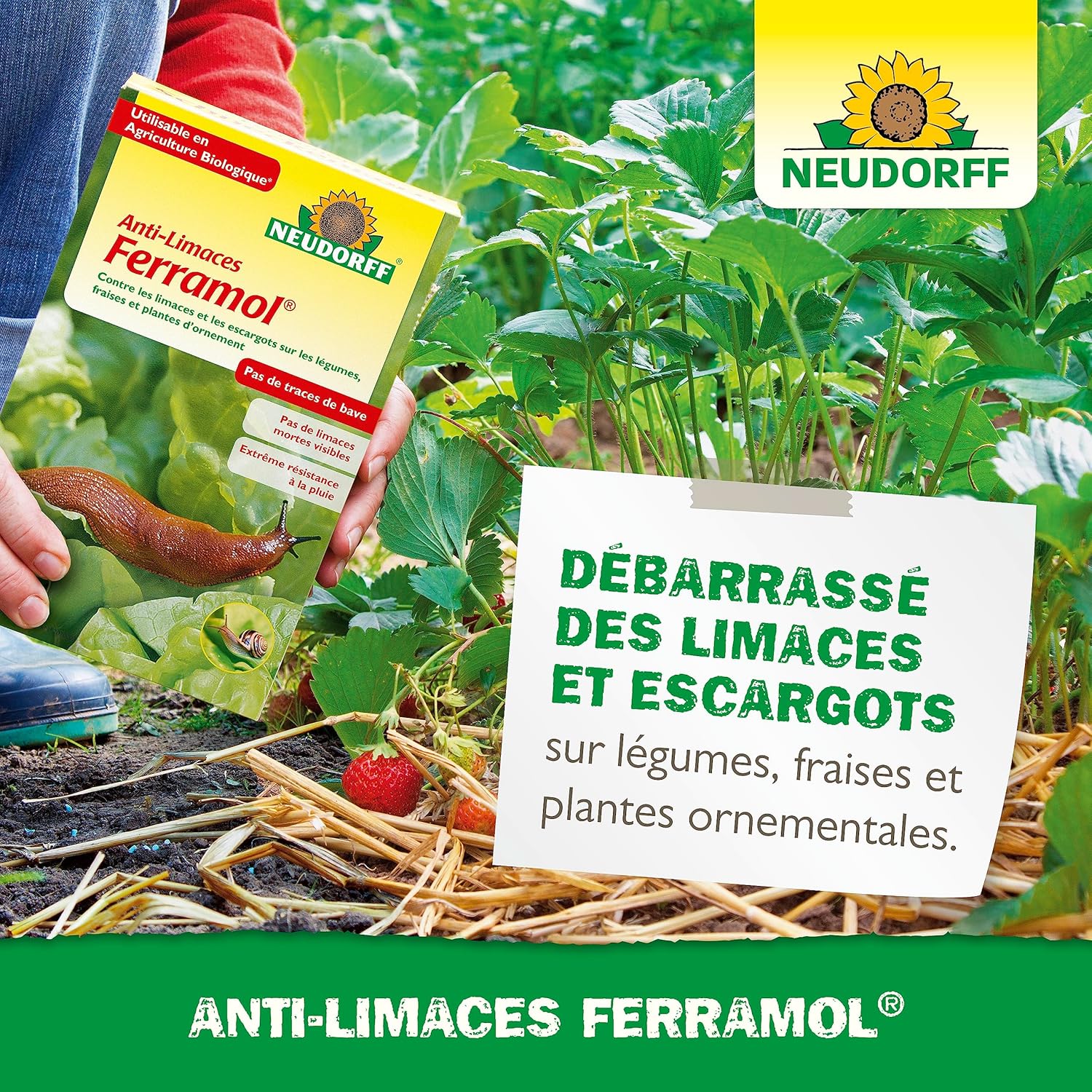 NEUDORFF Ferramol — Anti-limaces 500g – Image 5