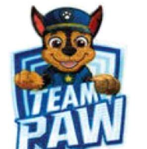 PAT' PATROUILLE — Écusson à repasser Chase Team