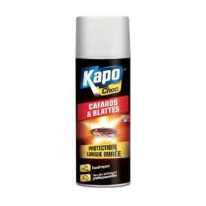 K.PRO CHOC — Aérosol foudroyant cafards et blattes
