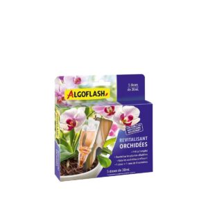 ALGOFLASH — Monodoses revitalisantes orchidées 5 x 30 mL