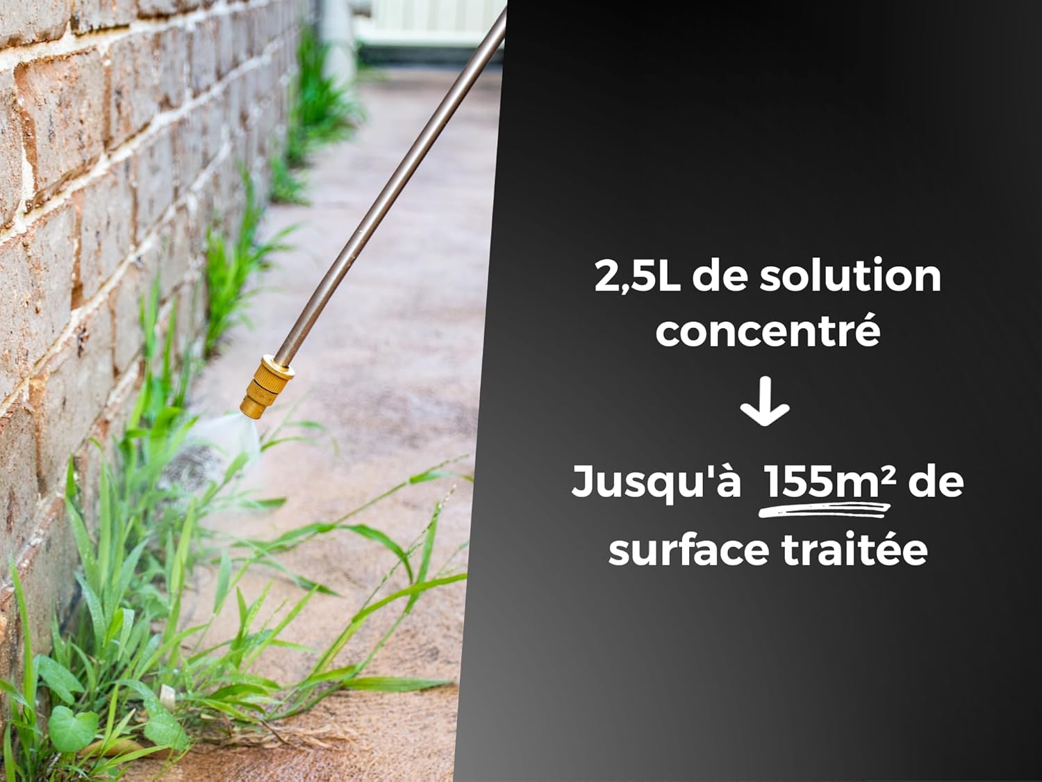 PROTECT EXPERT — Désherbant concentré 2,5 L effets visibles 3 h – Image 4