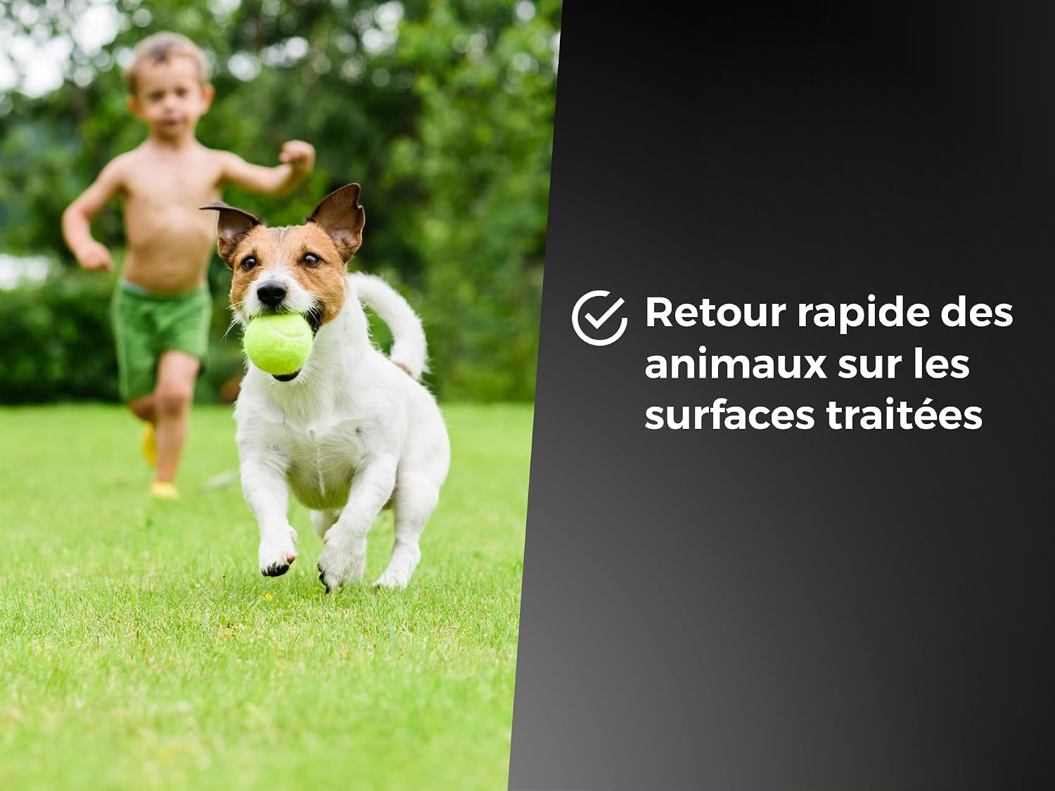 PROTECT EXPERT — Désherbant concentré 2,5 L effets visibles 3 h – Image 7