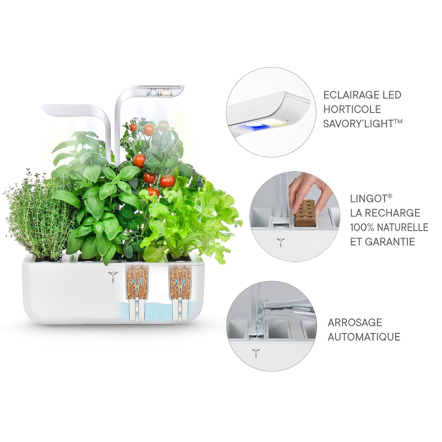 VÉRITABLE CLASSIC — Potager d’intérieur autonome blanc – Image 3