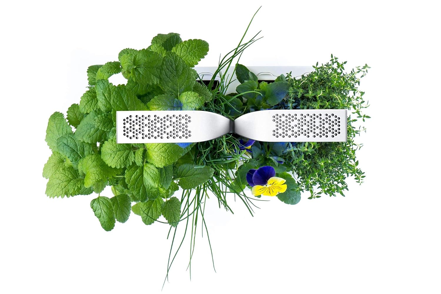 VÉRITABLE CLASSIC — Potager d’intérieur autonome blanc – Image 2
