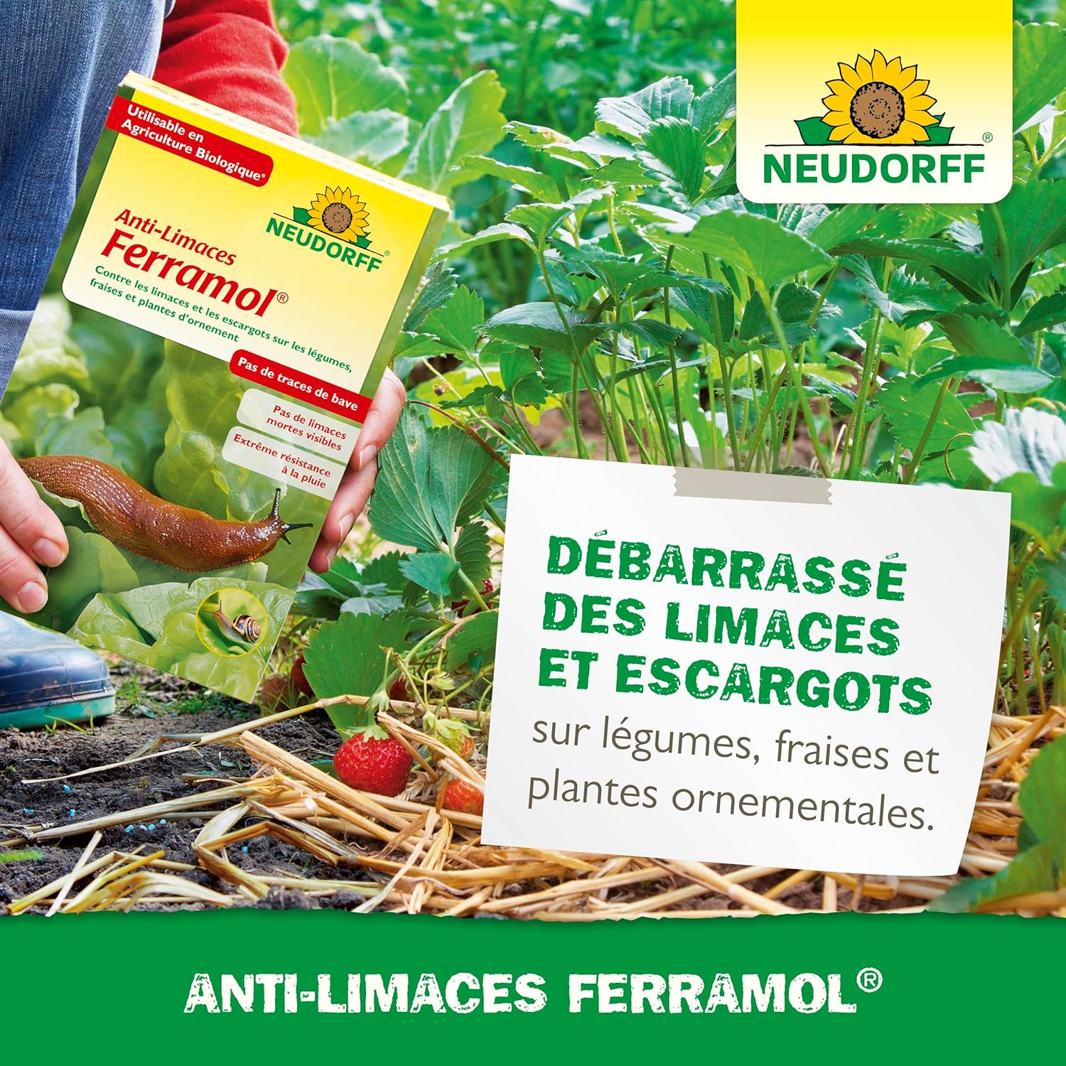 NEUDORFF Ferramol — Anti-limaces et escargots 2 kg – Image 5