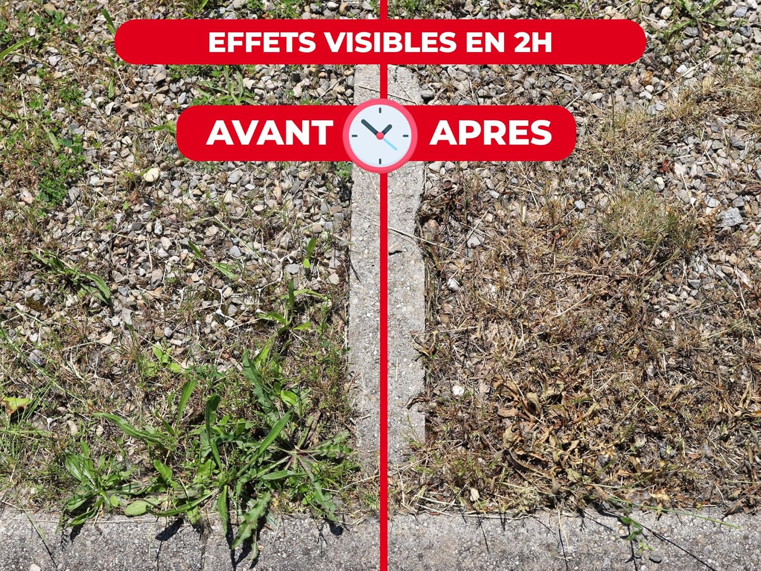 PROTECT EXPERT — Désherbant concentré 2,5 L effets visibles 3 h – Image 5