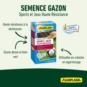 Alternative view of ALGOFLASH — Semence gazon Sport & Jeux 2,5 kg