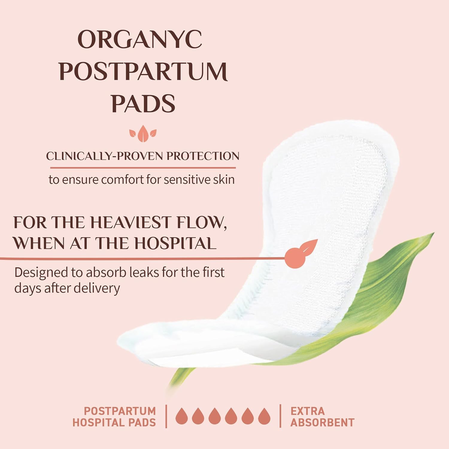Organyc Lot de 2 packs de 12 serviettes hygiéniques de maternité en coton biologique – Image 6