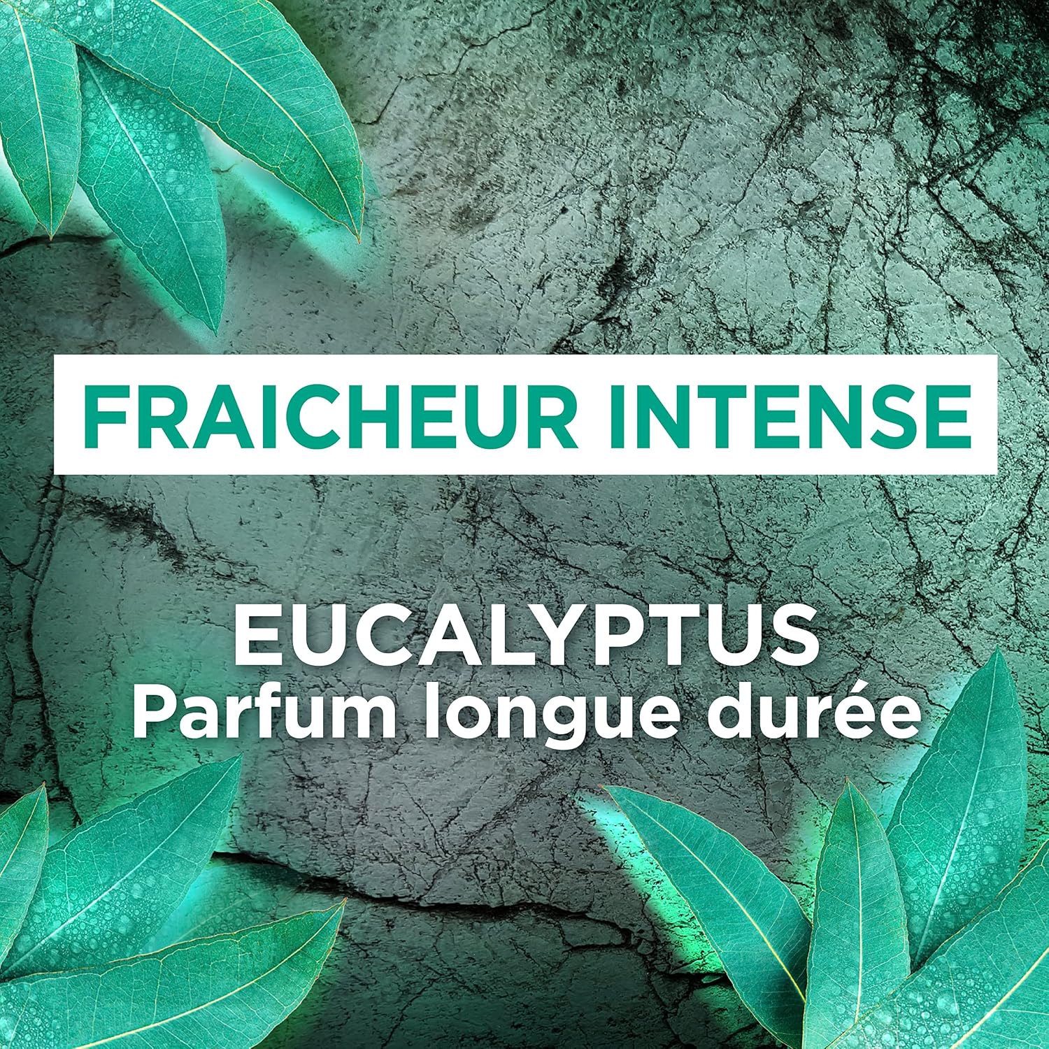 Ushuaia Atomiseur Homme Eucalyptus Sauvage - Lot de 6 – Image 2
