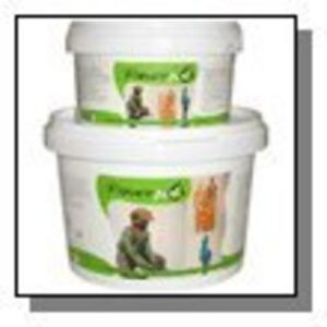 Creativ 39093 Paverpol, 500 g