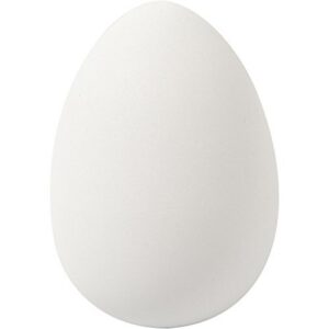 Lot de 8 — Faux œufs d’oie blancs en plastique aspect naturel