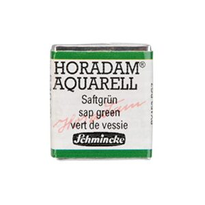 SCHMINCKE HORADAM AQUARELL — Aquarelle fine 530 vert jus 1/2 godet