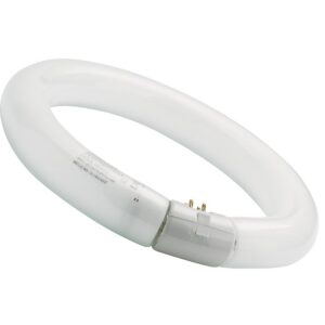 SYLVANIA — Tube fluorescent circulaire G10q 32 W blanc froid