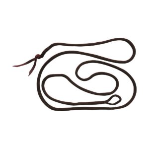 GÉNÉRIQUE — Longe éthologique brune 3,7 m