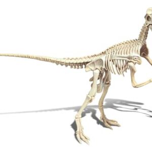 Alternative view of CLEMENTONI Archéo Ludic — Kit de Fouille Vélociraptor Lumineux