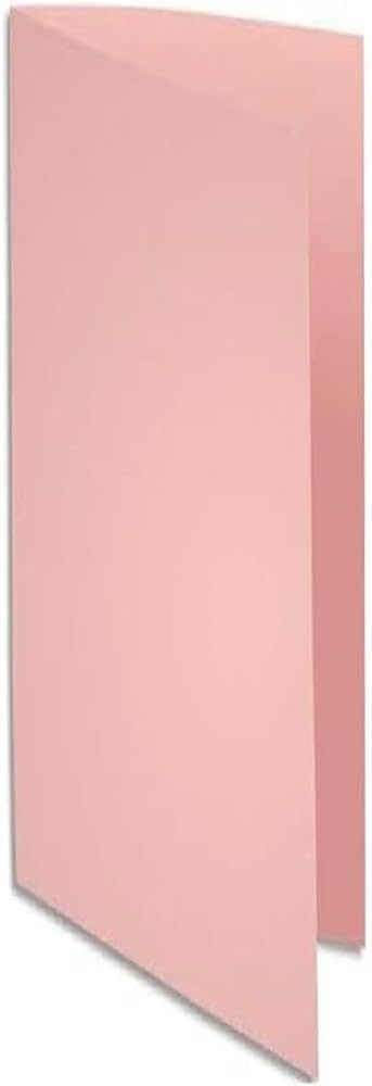 EXACOMPTA SUPER — Lot de 100 chemises rigides A4 rose