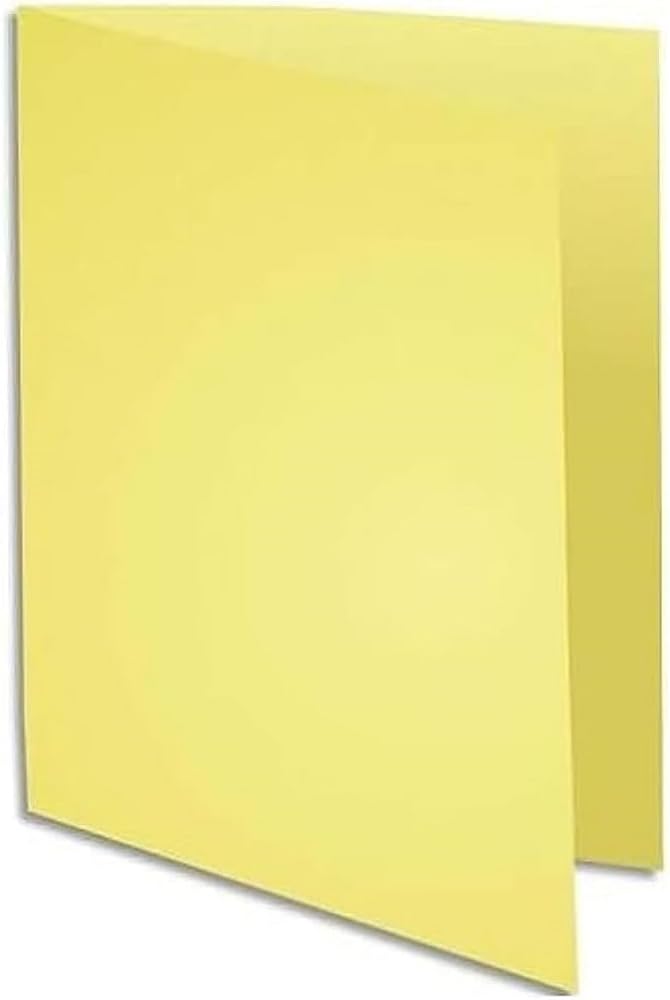 EXACOMPTA Super 250 — Lot de 100 Chemises jaune – Image 20