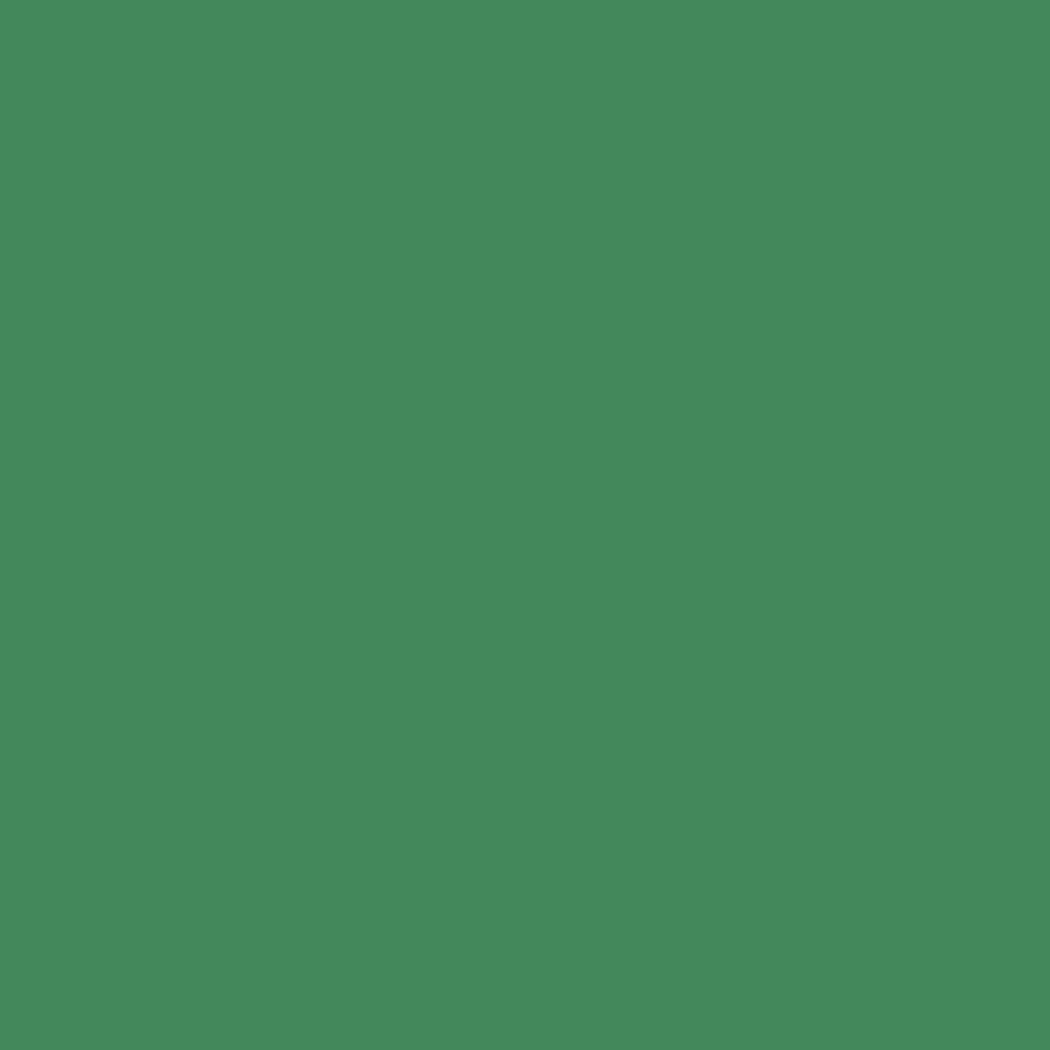 CRICUT — Vinyle permanent brillant 6 feuilles 30,5 x 30,5 cm – Image 4