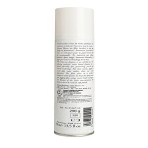 Alternative view of DELACROIX — Fixatif crayon et fusain 400 ml