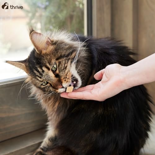 THRIVE — Friandises pour chat 100 % crevette Tube XL – Image 4