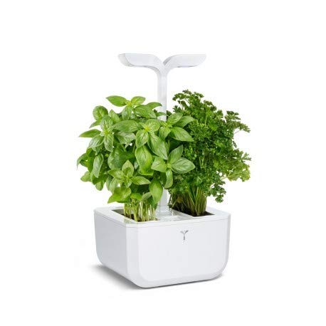 EXKY Classic — Potager d’Intérieur avec 2 Lingots – Image 2