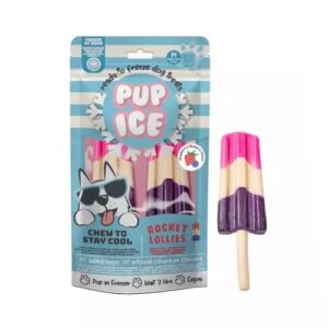 PUP ICE ROCKET — Glaces fraise myrtille 2 x 90 g