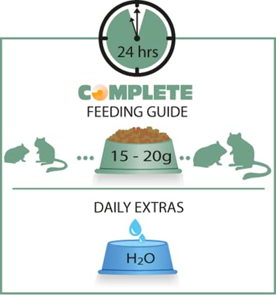 VERSELE-LAGA Complete — Aliment Hamsters et Gerbilles 500 g – Image 4