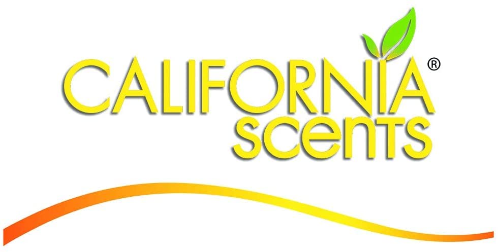 CALIFORNIA SCENTS — Désodorisant voiture vanille bouteille – Image 2