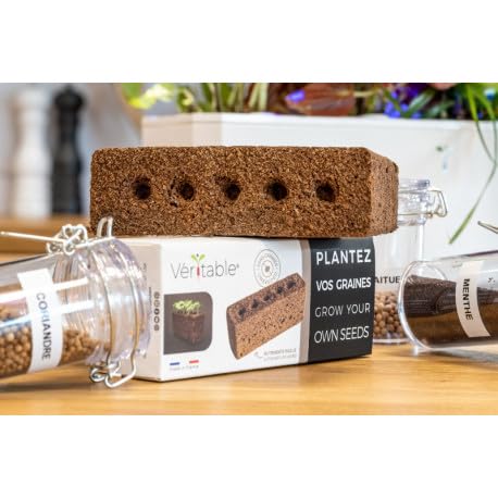 LINGOT — Recharge sans graines pour potager d'intérieur – Image 36
