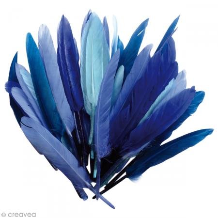 Plumes d'indien — sachet 10 g camaïeu bleu