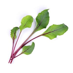 Alternative view of VÉRITABLE Lingot — Recharge Pousses de Betterave Bio