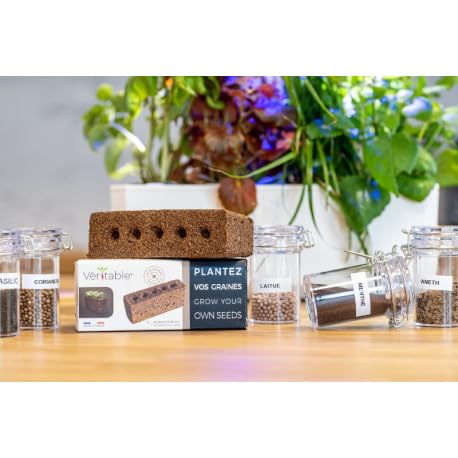 LINGOT — Recharge sans graines pour potager d'intérieur – Image 25
