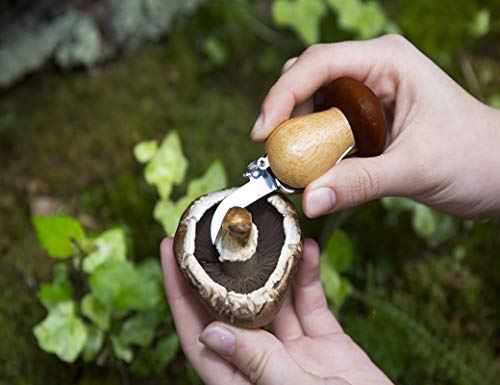 SANS MARQUE — Porte-clés couteau et brosse à champignons – Image 12