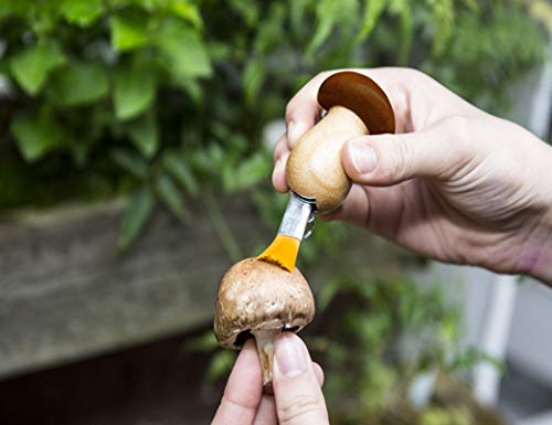 SANS MARQUE — Porte-clés couteau et brosse à champignons – Image 17
