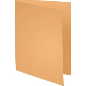 Alternative view of EXACOMPTA Super 250 — Paquet de 100 Chemises coloris bulle