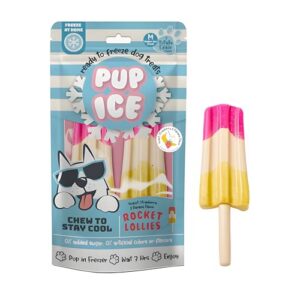 PUP — Glaces à l’eau Twist vanille/fraise 3 x 102 g