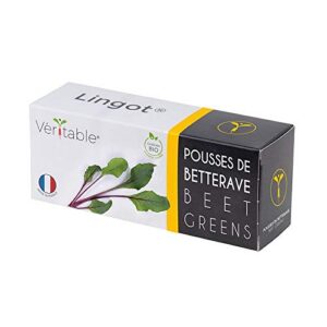 VÉRITABLE Lingot — Recharge Pousses de Betterave Bio
