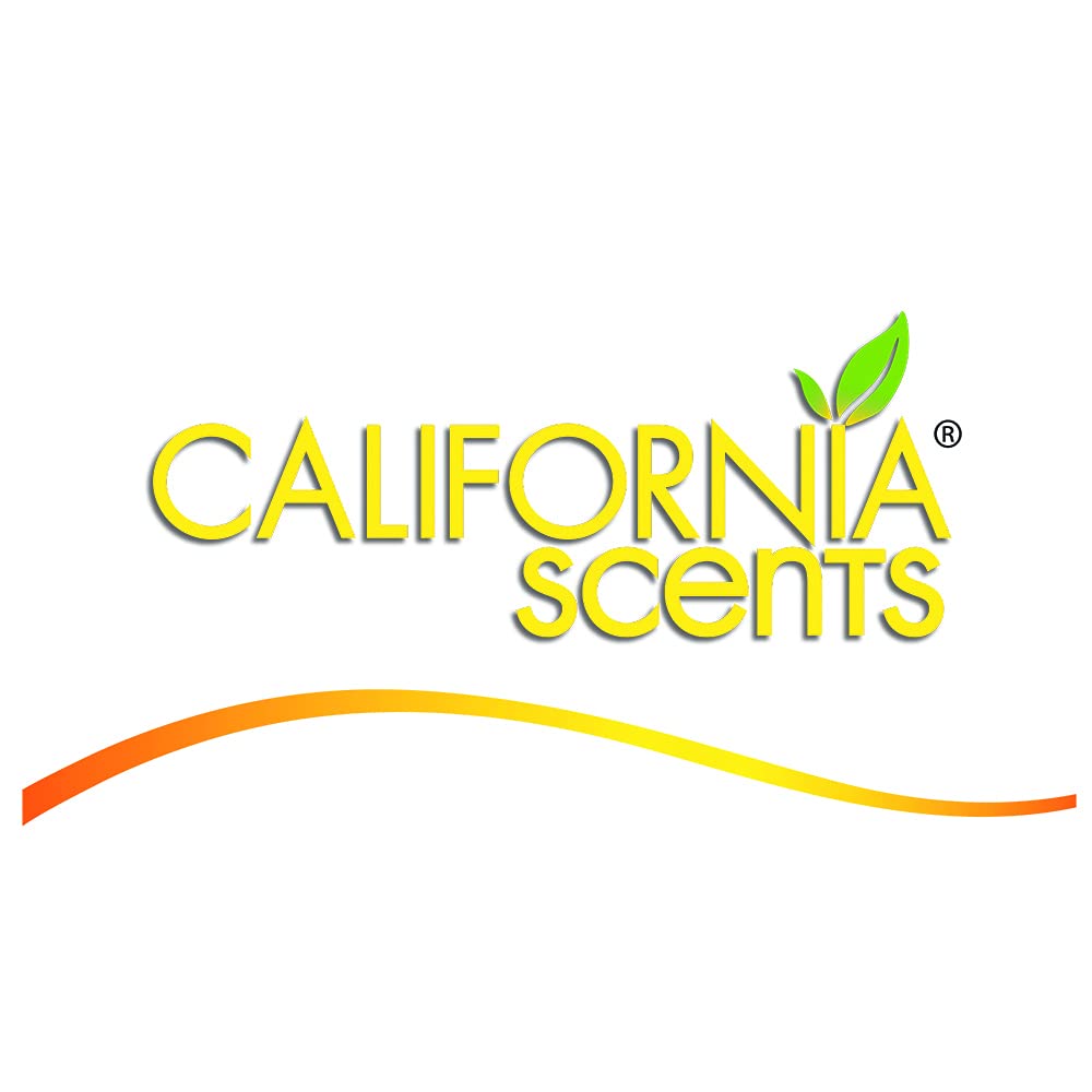 CALIFORNIA SCENTS Palm Tree — Désodorisant Newport New Car – Image 3