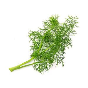 Alternative view of VÉRITABLE Lingot — Recharge Fenouil Bio compatible Exky