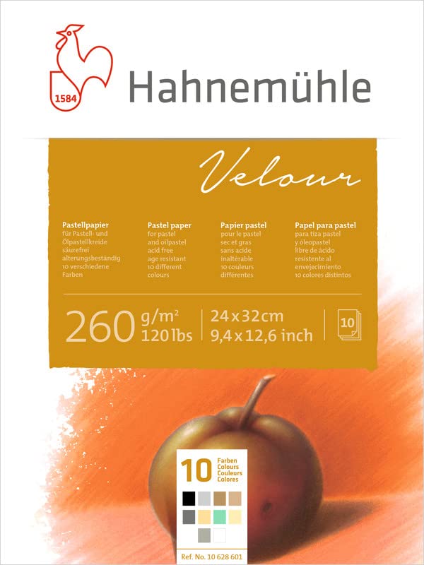 HAHNEMUHLE Velour — Papier pastel 24x32 cm 260 g/m² x10 – Image 5