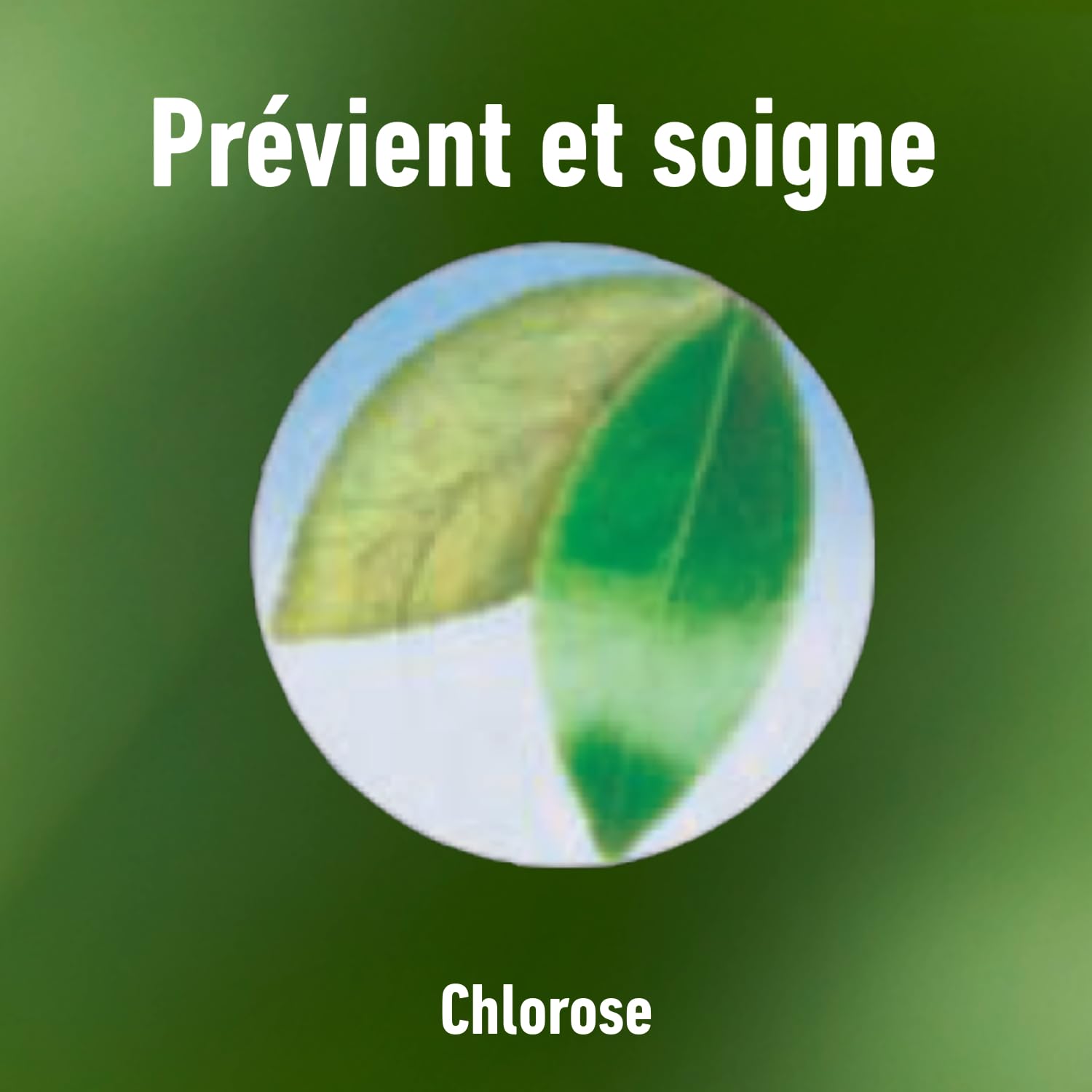 ALGOFLASH NATURASOL — Anti-chlorose prêt à l’emploi 750 ml – Image 14