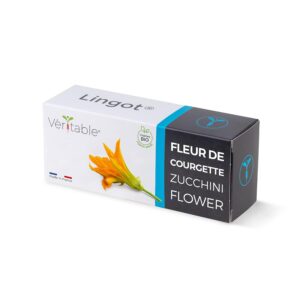 LINGOT — Recharge Fleur de Courgette Bio